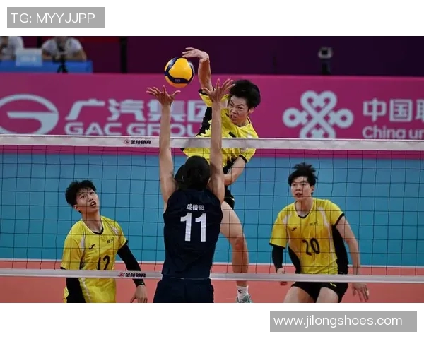 杭州排球队团队协作能力创新高引领全国排球新风潮